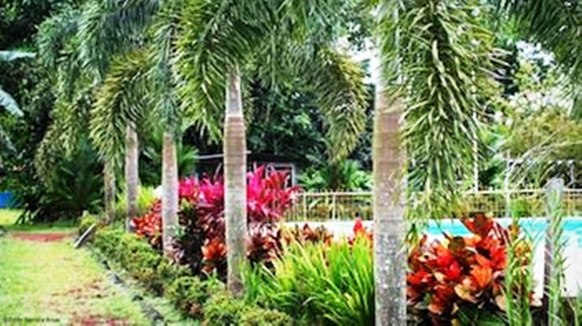 Hotel Colores Del Arenal La Fortuna Exterior photo